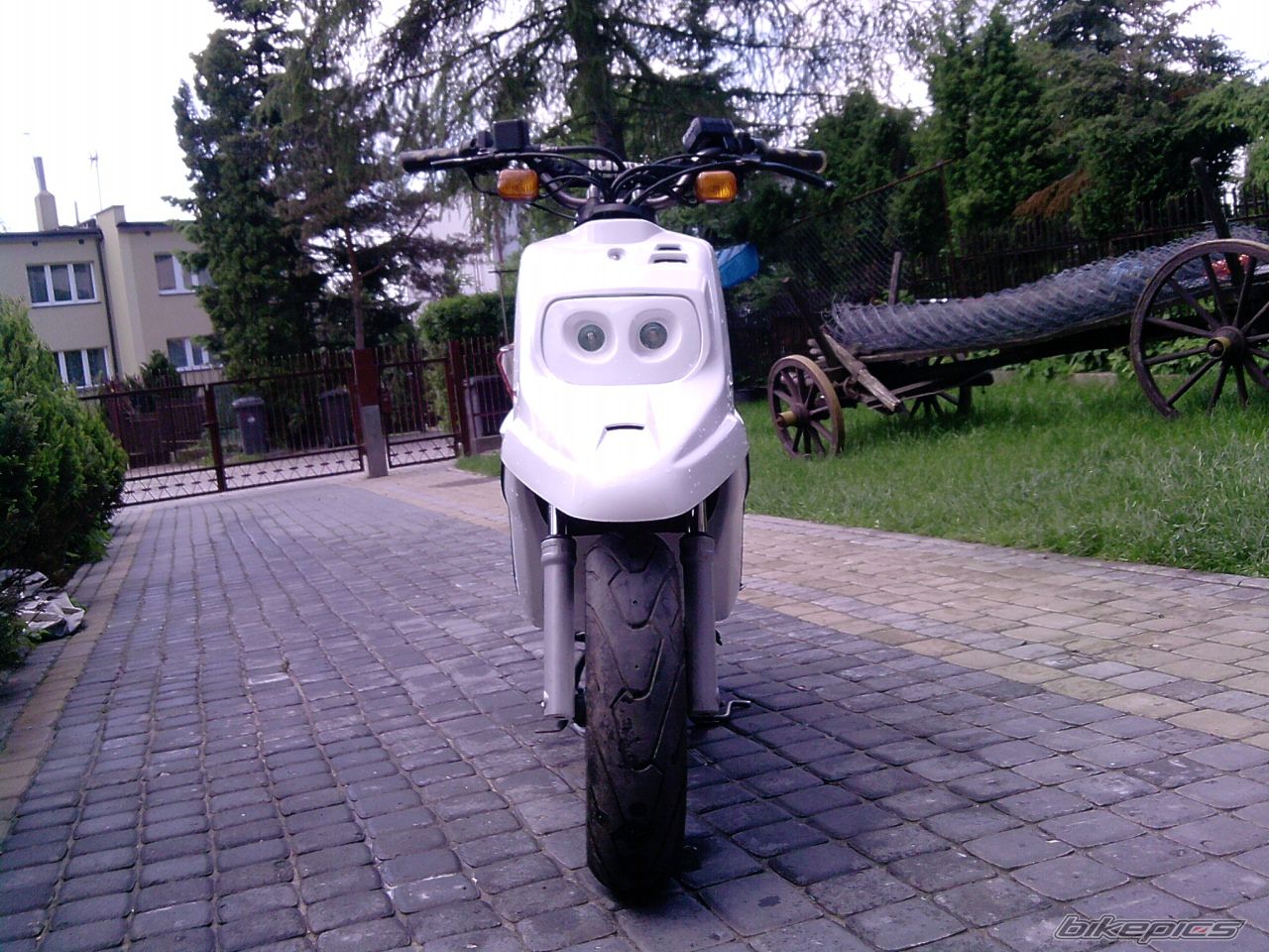 Photo 1983400