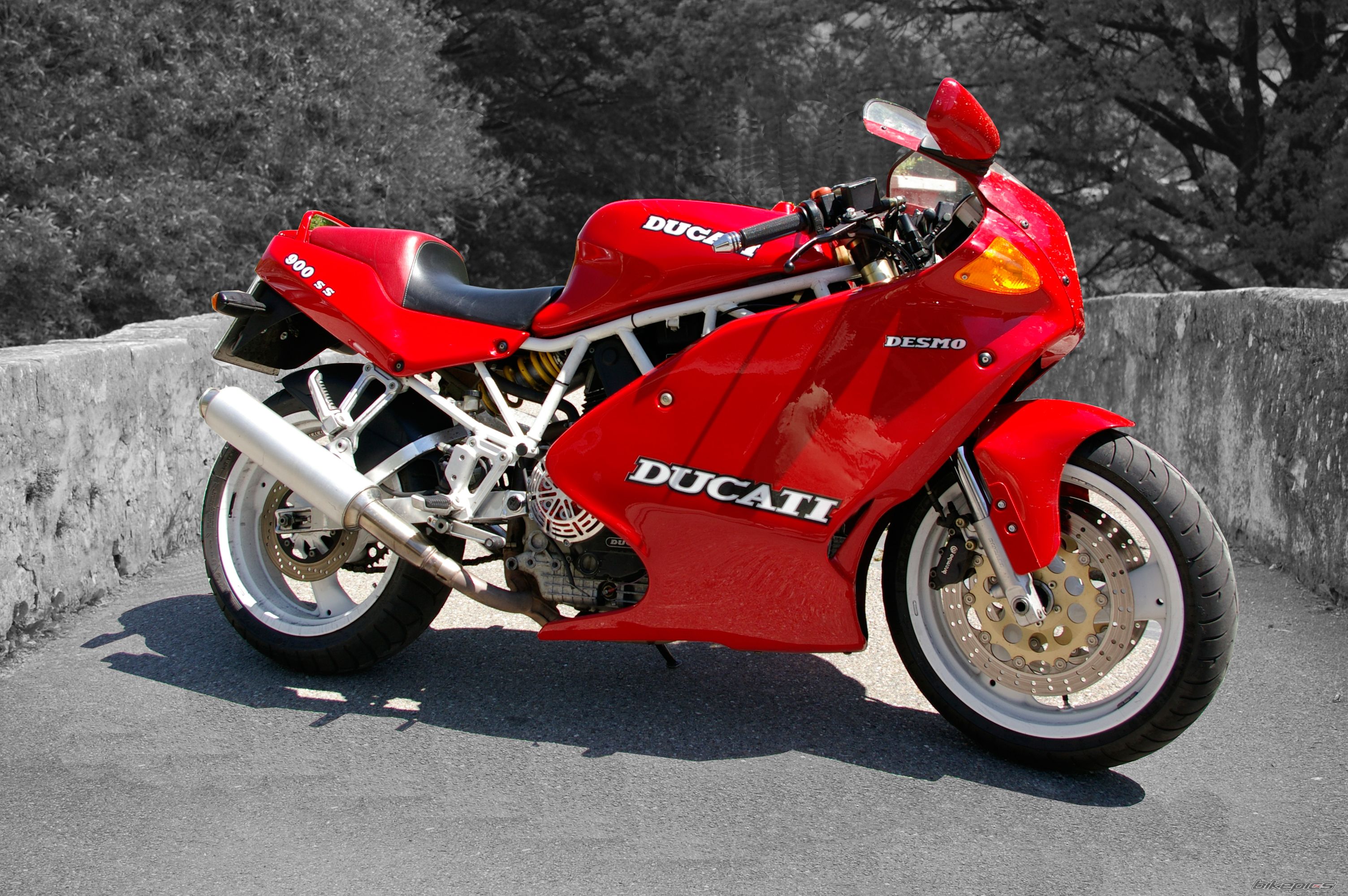 Bike Photo 1983456
