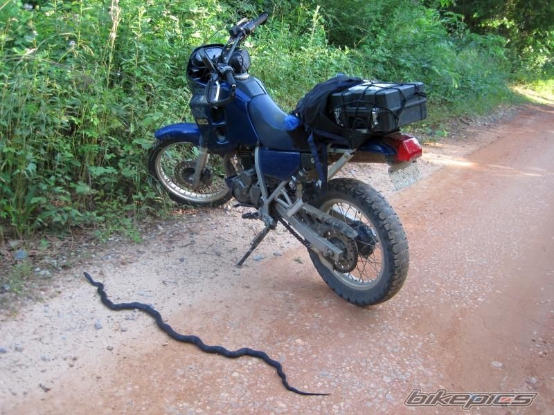 Bike Photo 1983512