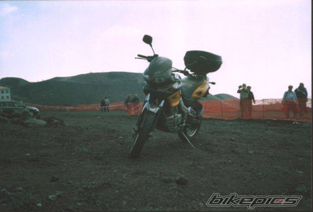 Photo 198353