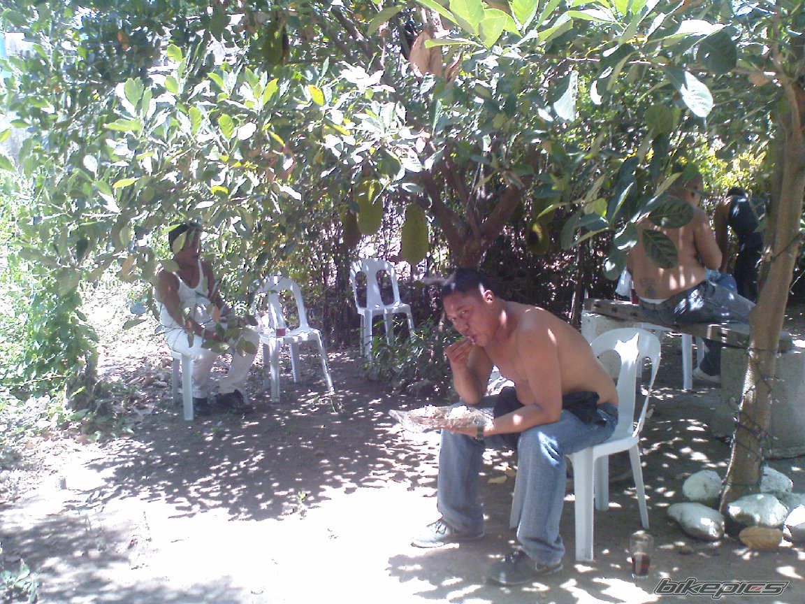 Photo 1983555