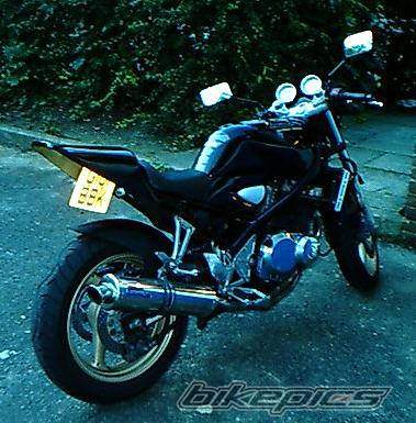 Photo 198356