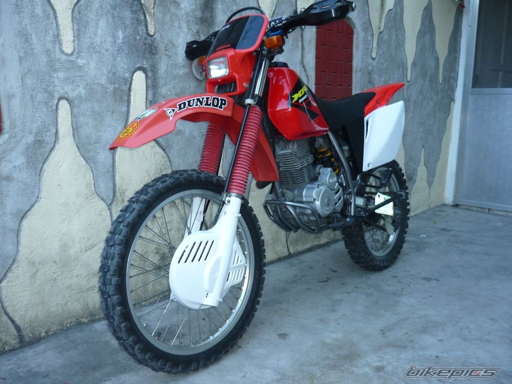 Photo 1983601