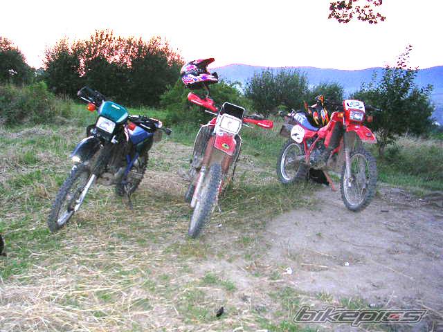 Photo 198361