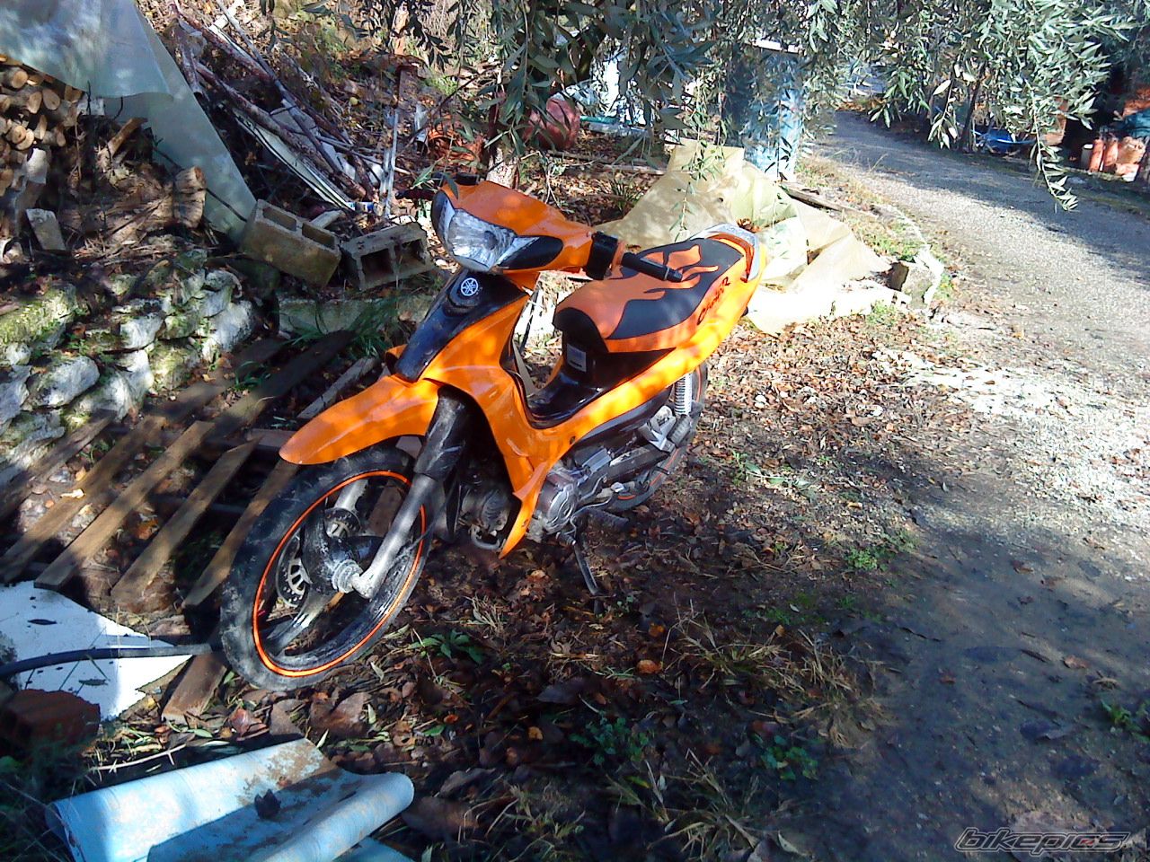 Photo 1983629