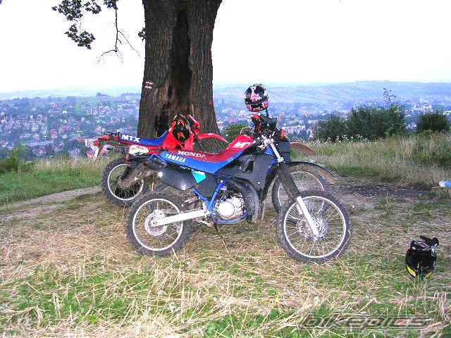Photo 198363