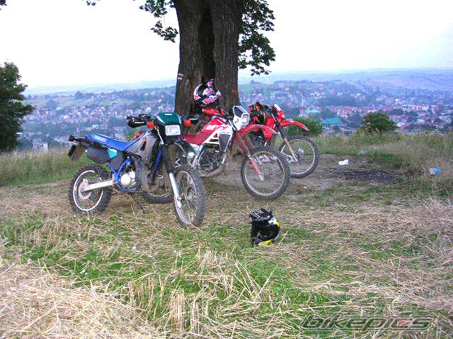 Photo 198364