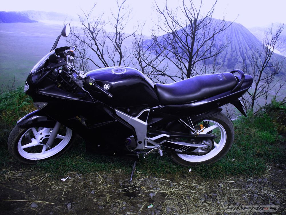 Photo 1983662