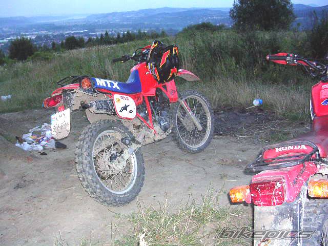 Photo 198368