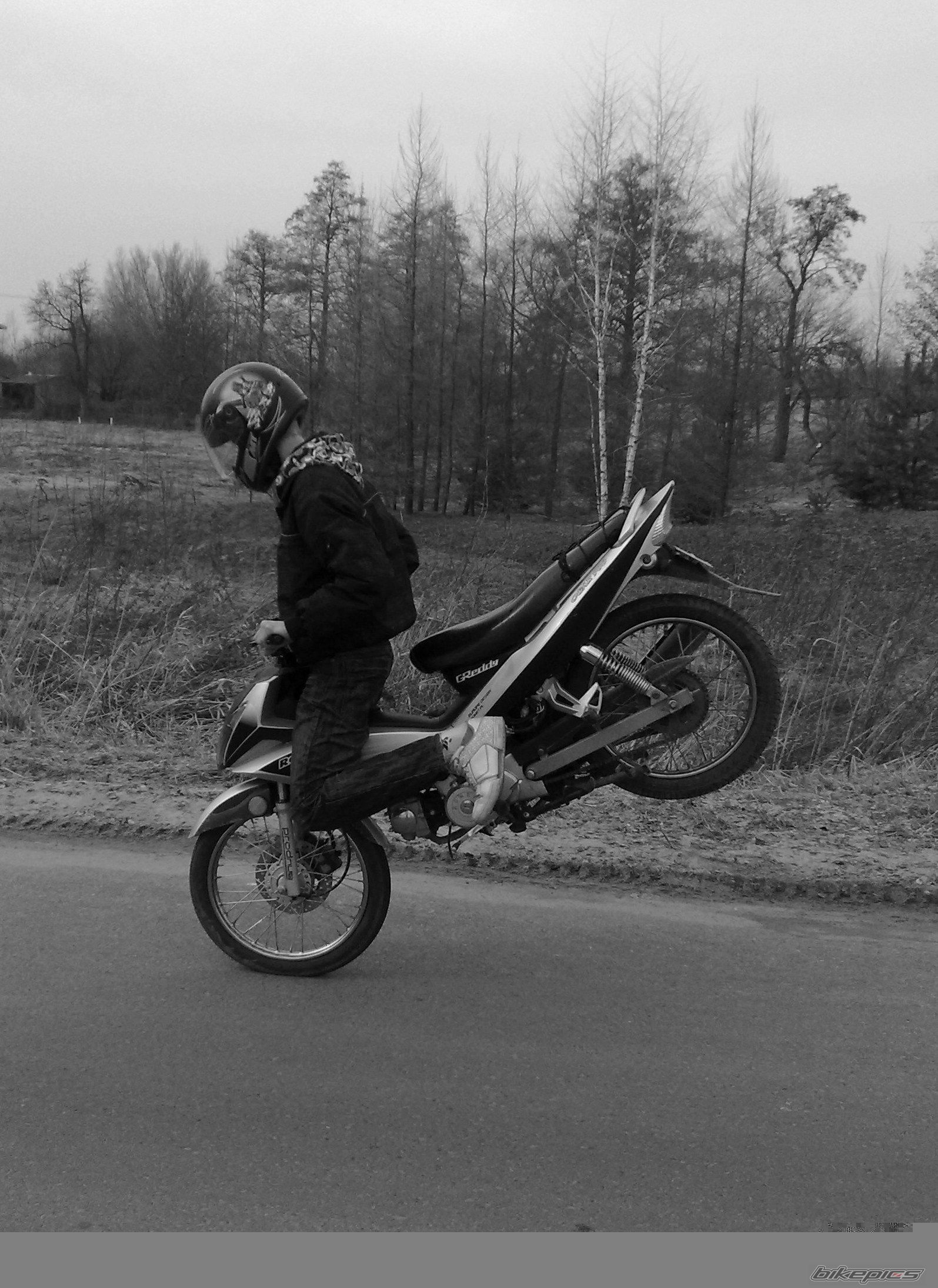 Photo 1983683