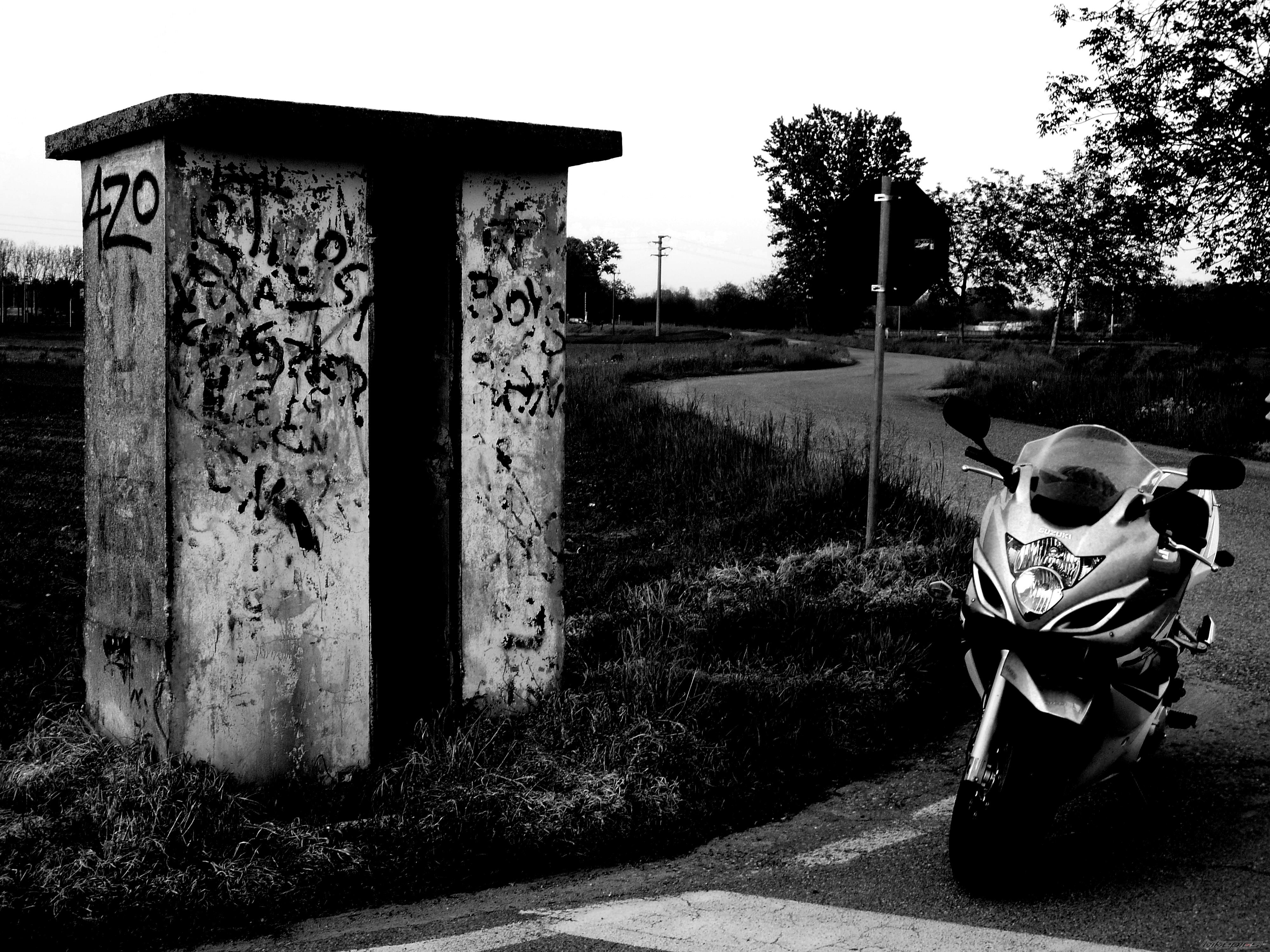 Photo 1983688