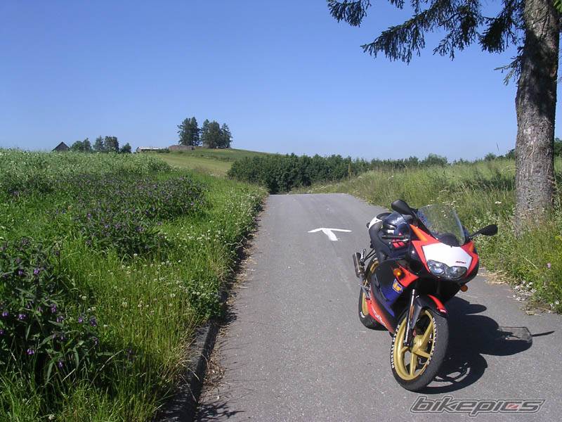 Photo 198381