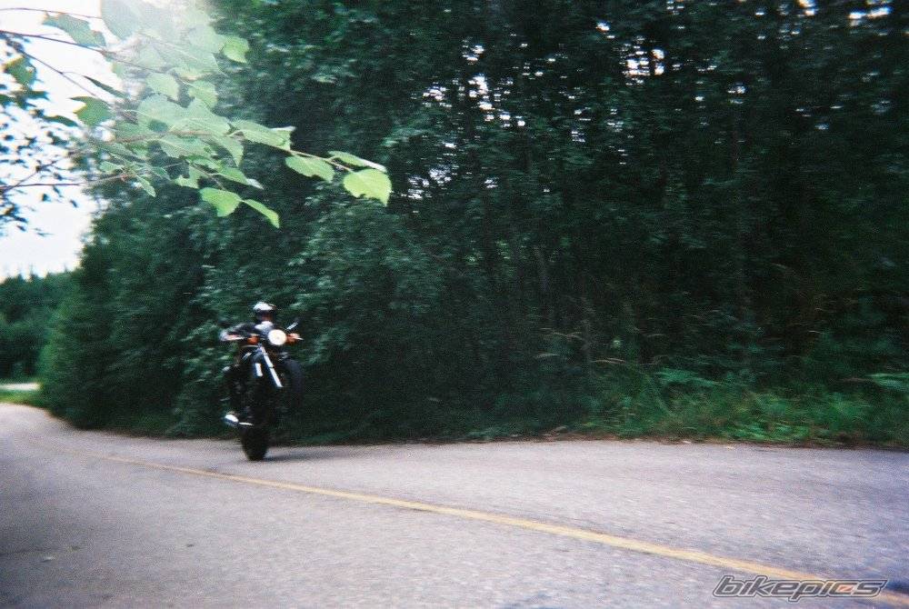 Photo 198395