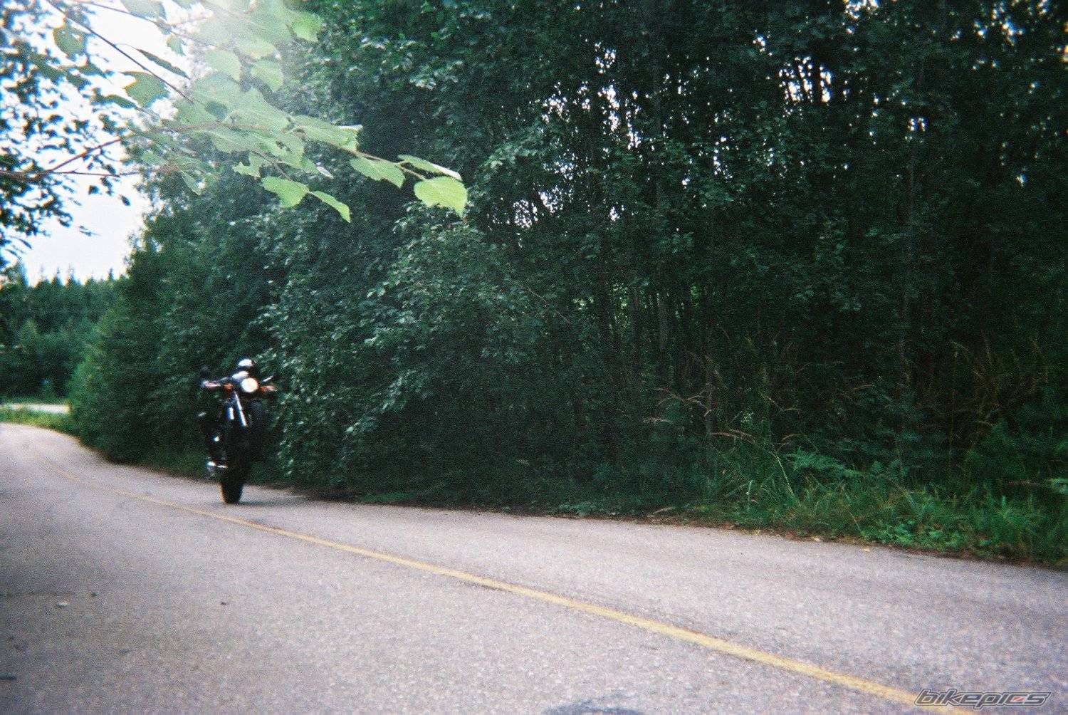 Photo 198396