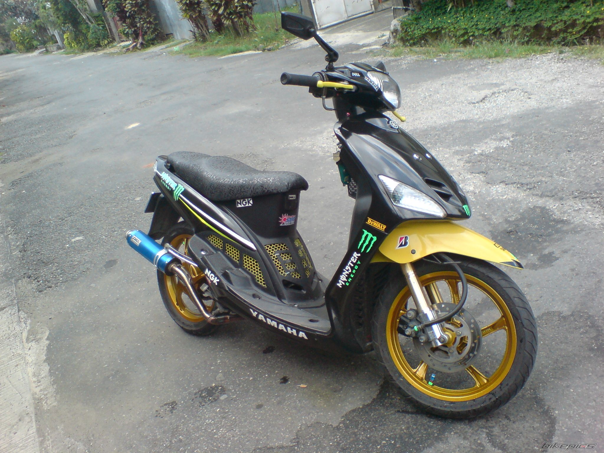 Photo 1984167
