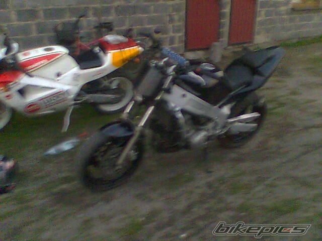 Photo 1984228