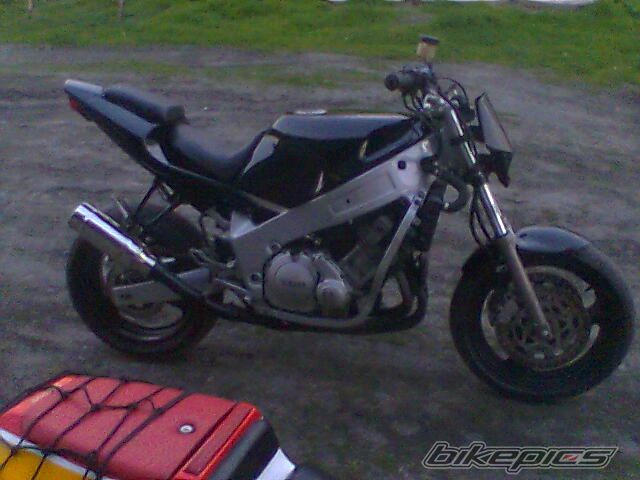 Photo 1984229