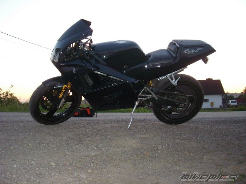 Photo 1984232