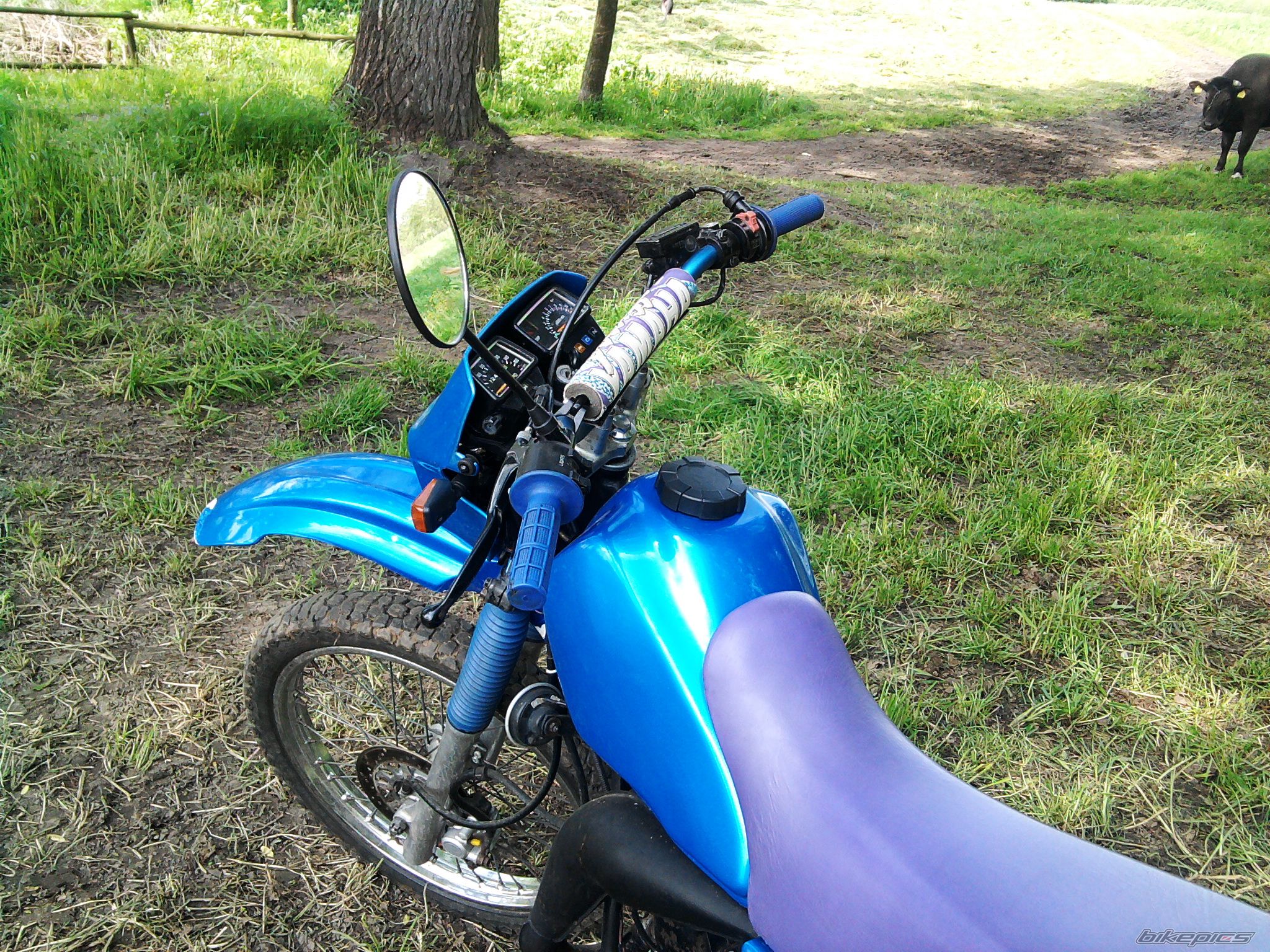 Photo 1984355