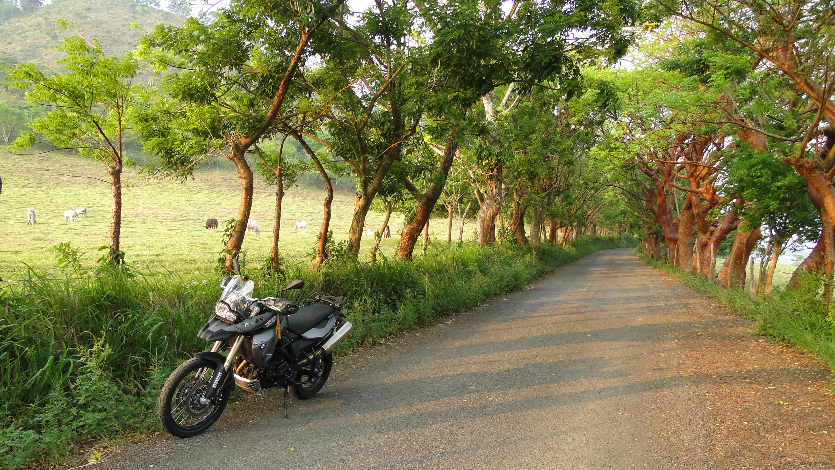Bike Photo 1984526