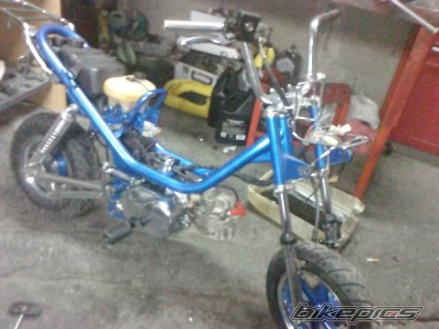 Photo 1984548