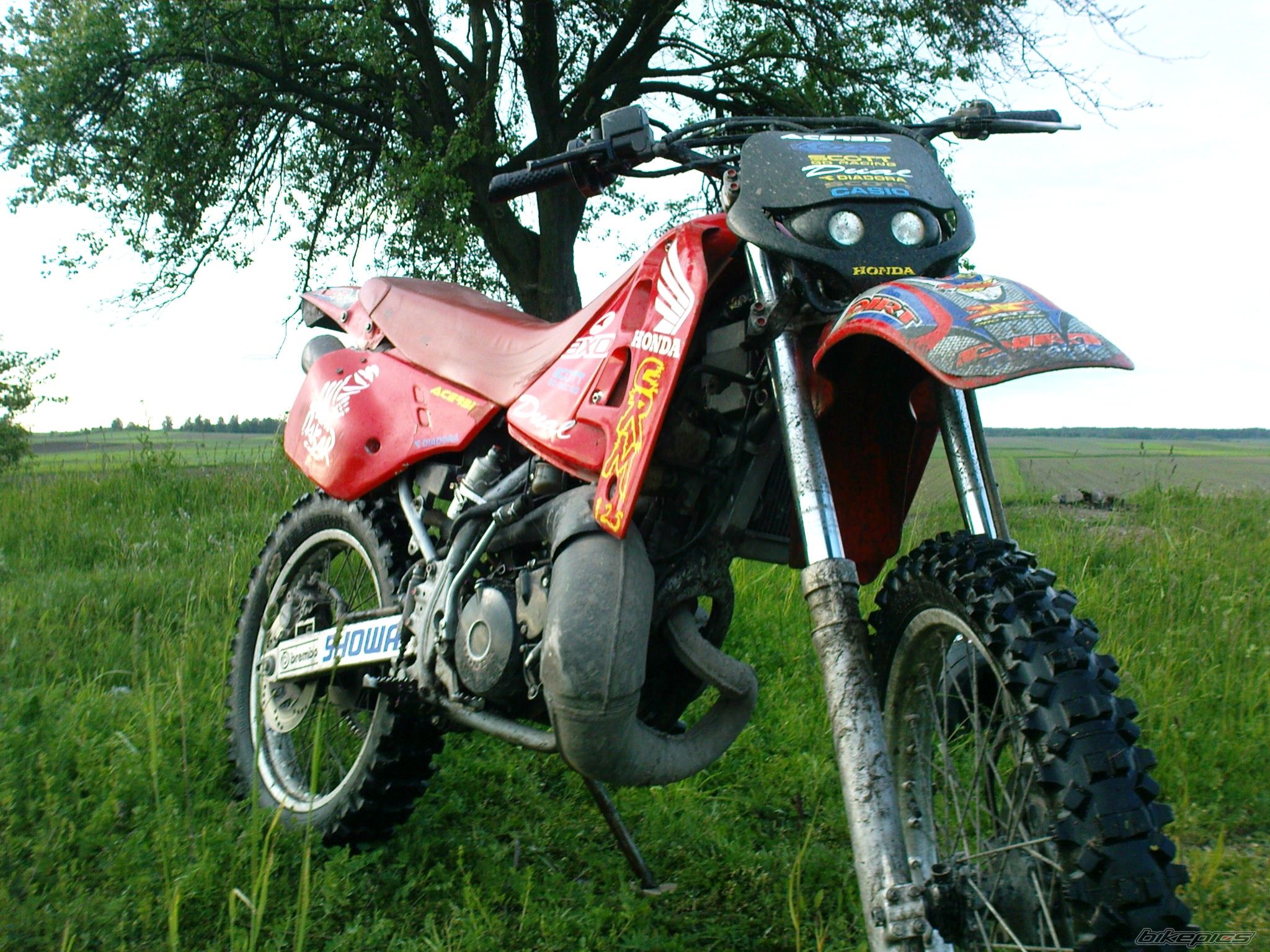 Photo 1984620