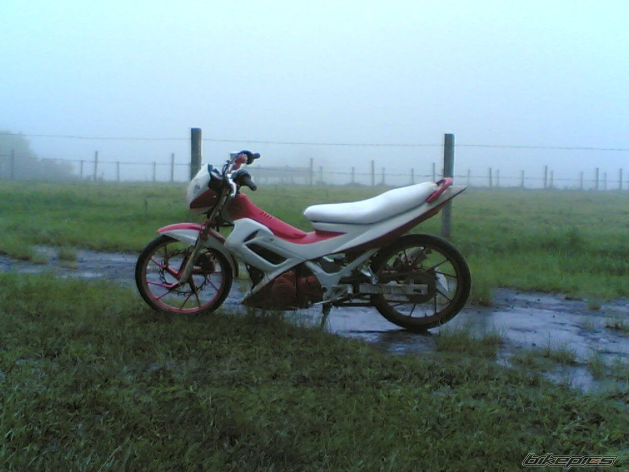 Photo 1984798