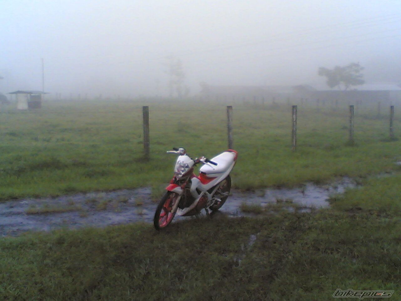 Bike Photo 1984799