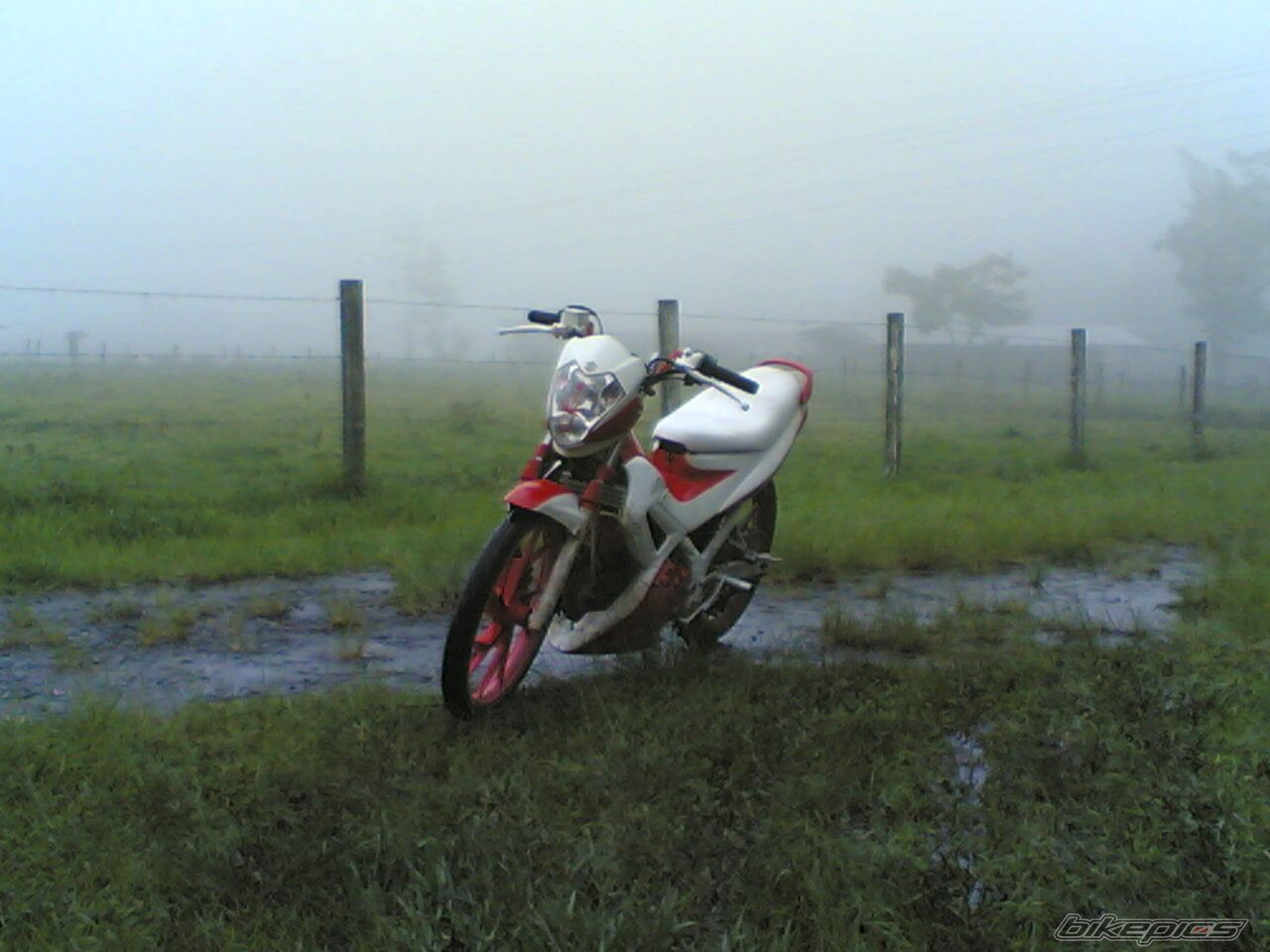 Photo 1984800