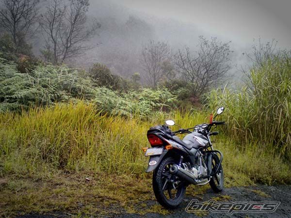 Photo 1984840