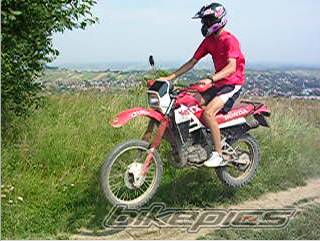 Photo 198511