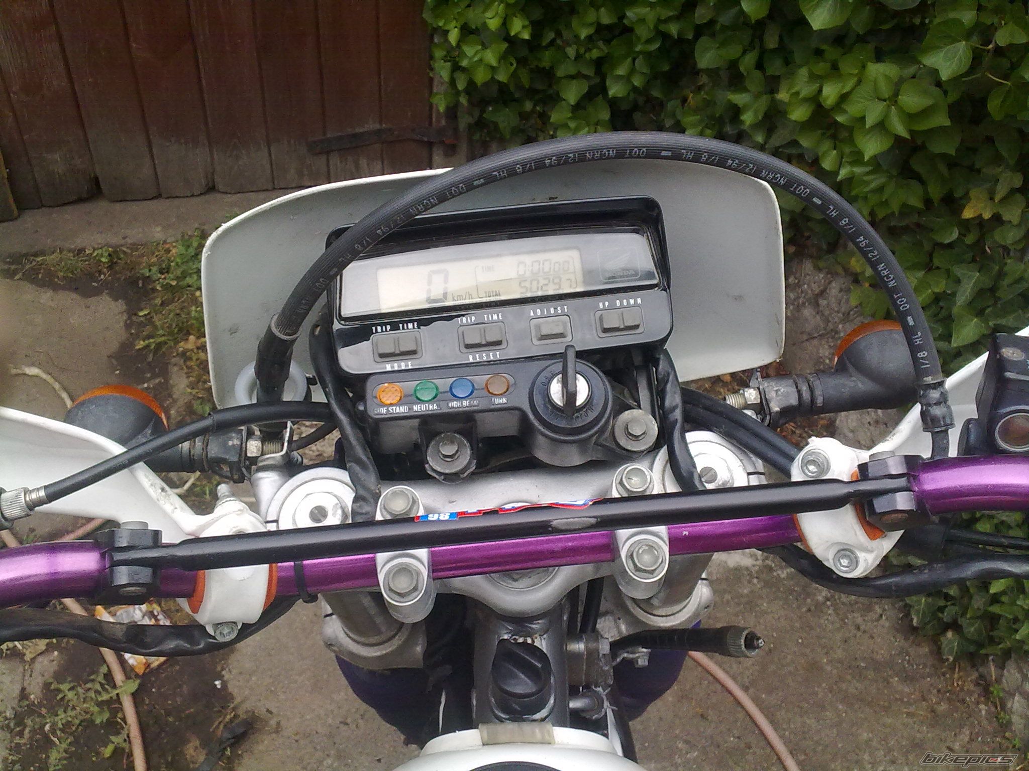 Photo 1985145