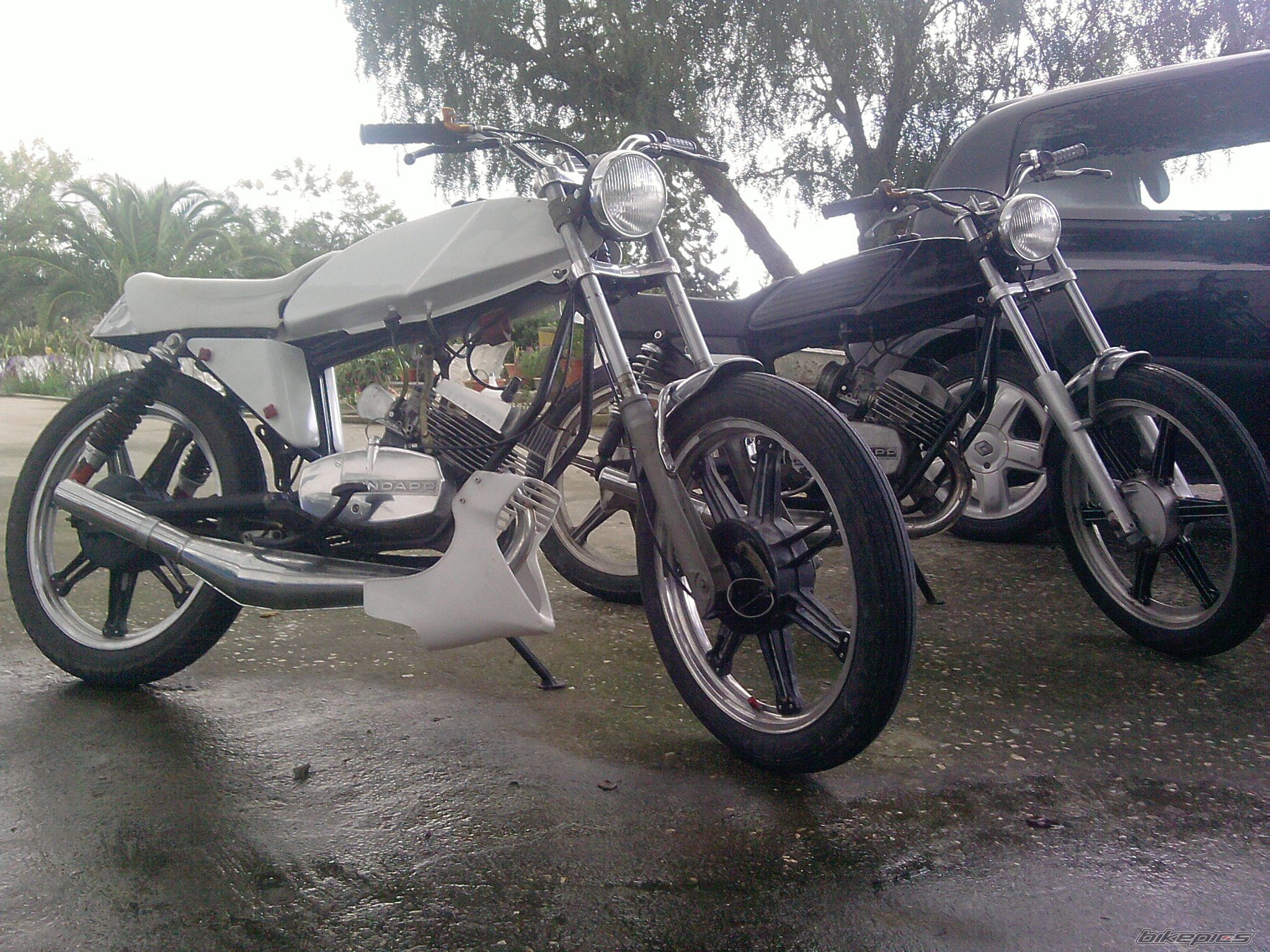Photo 1985217