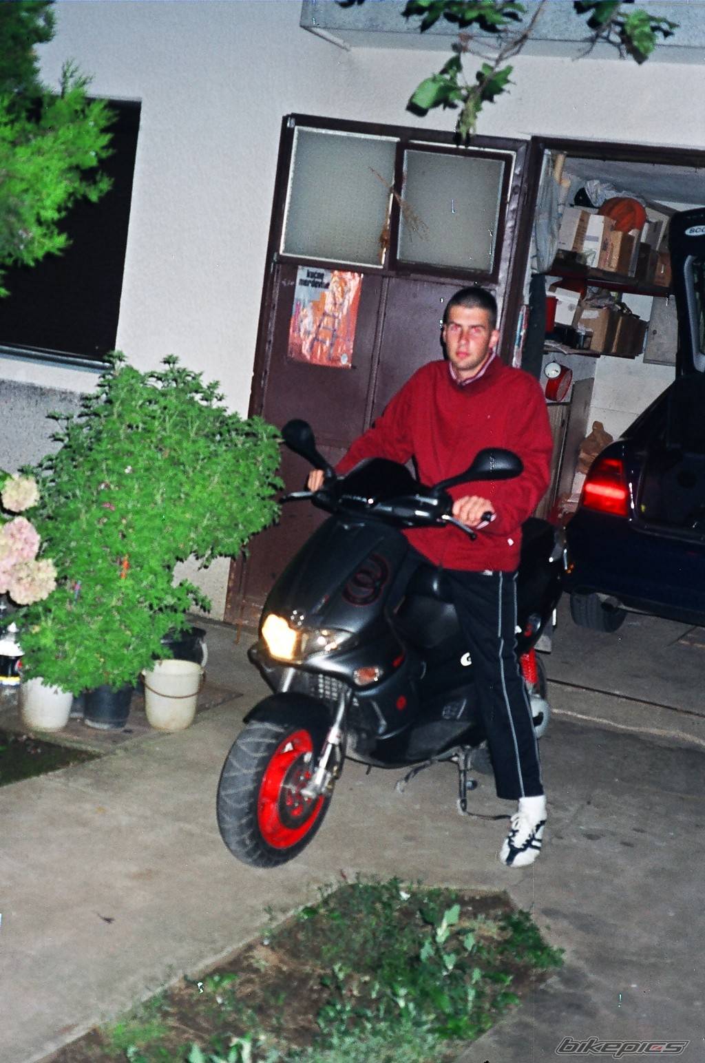 Photo 198524