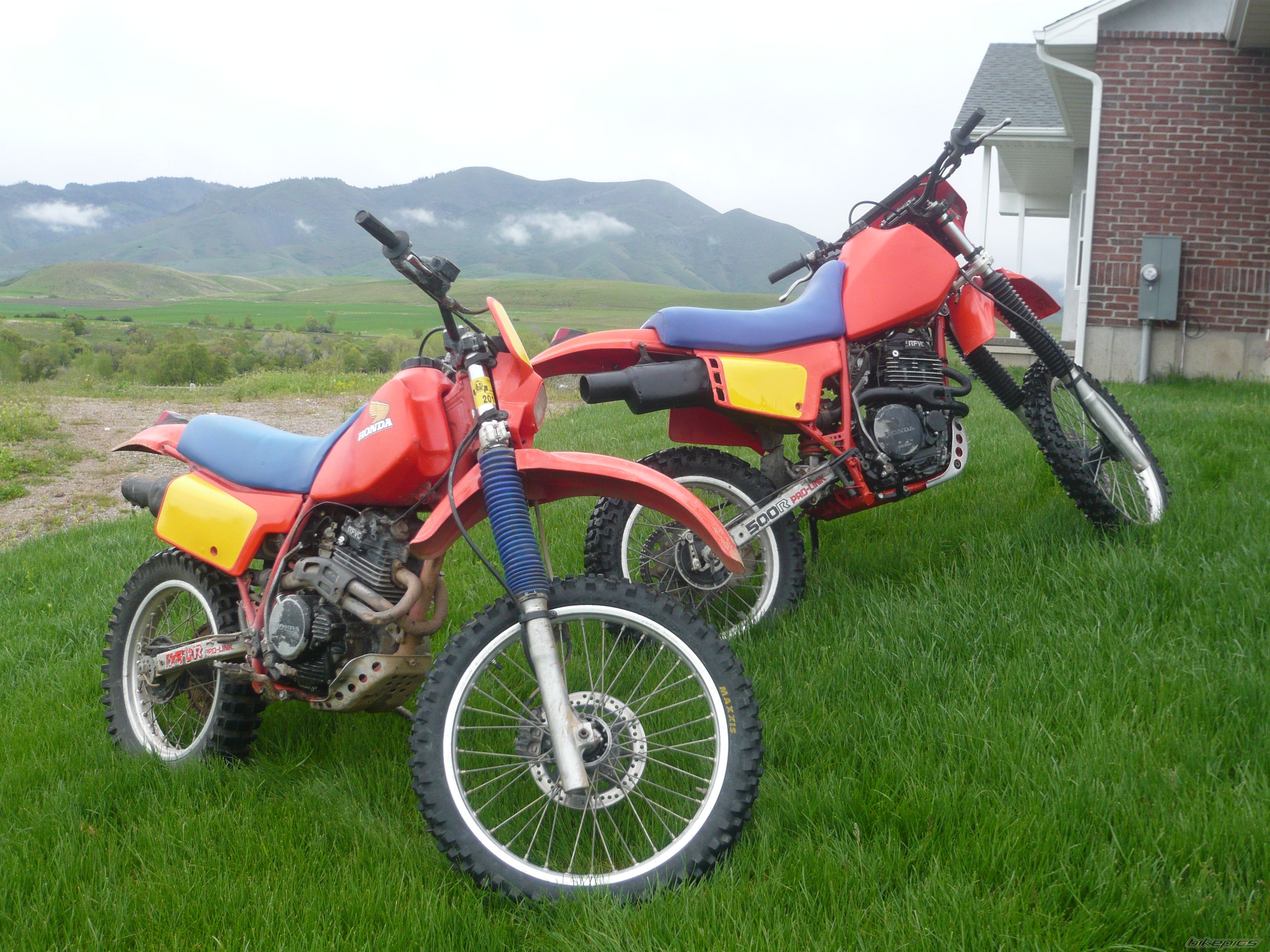 Bike Photo 1985259
