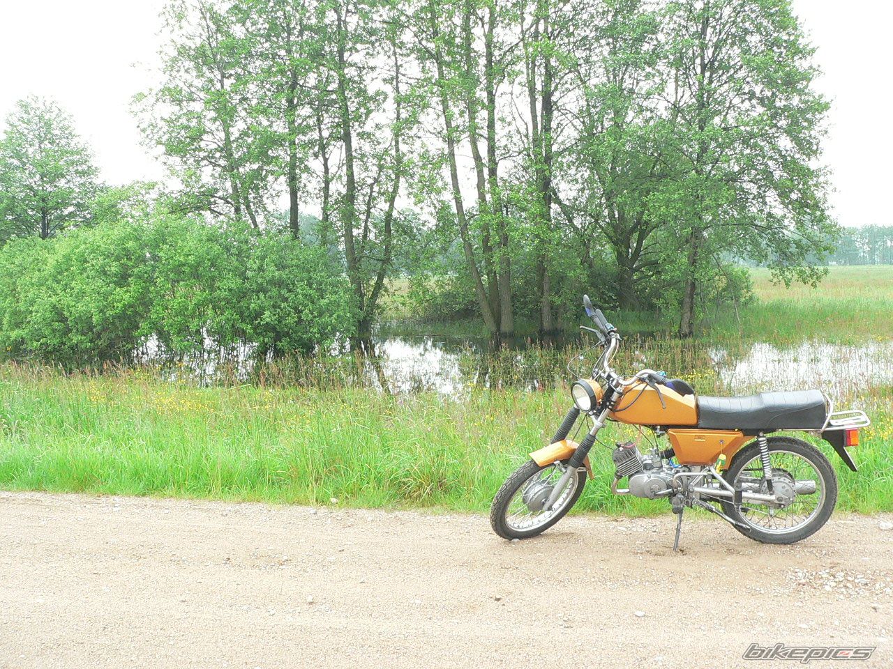 Photo 1985287