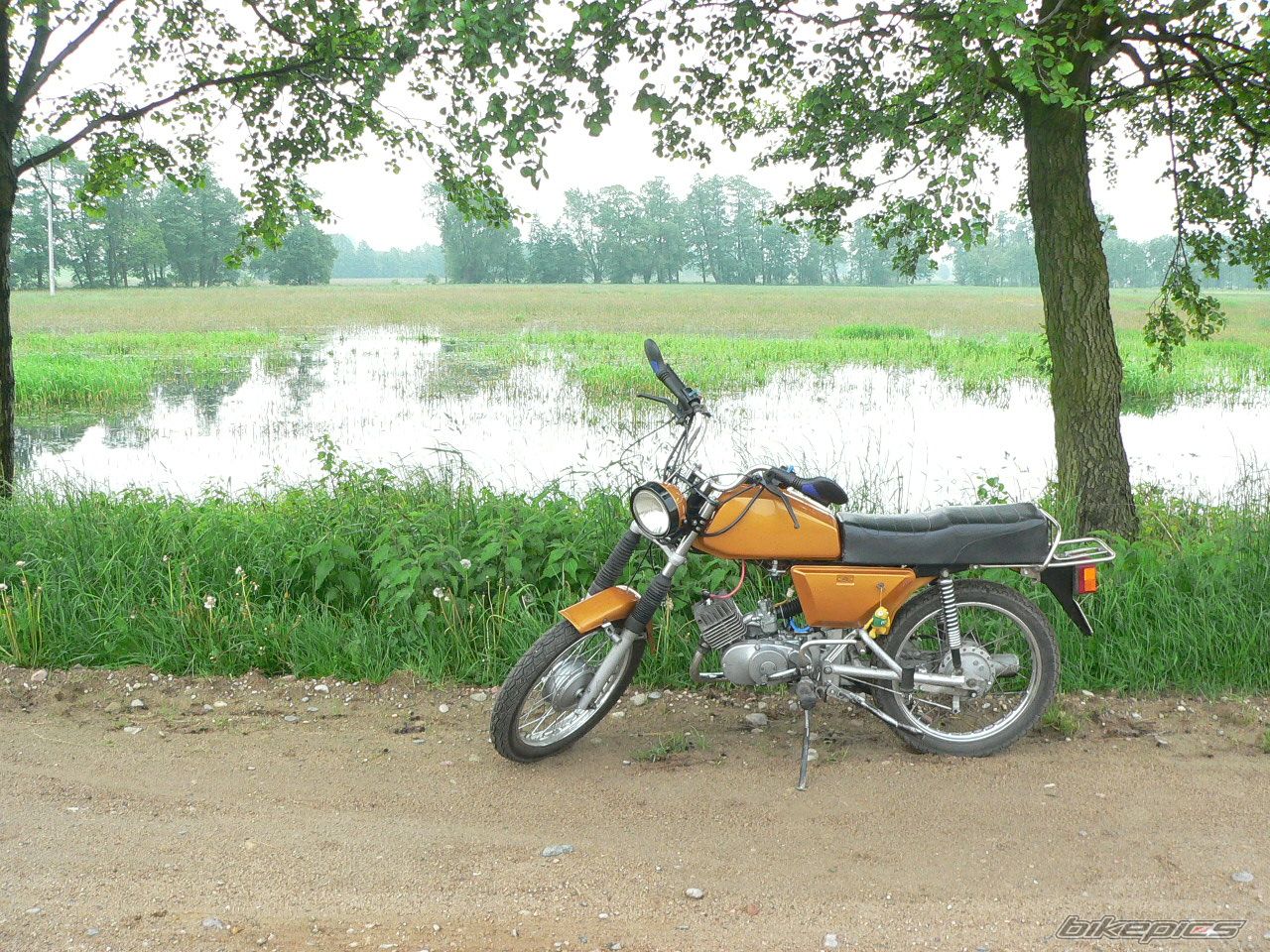 Photo 1985289