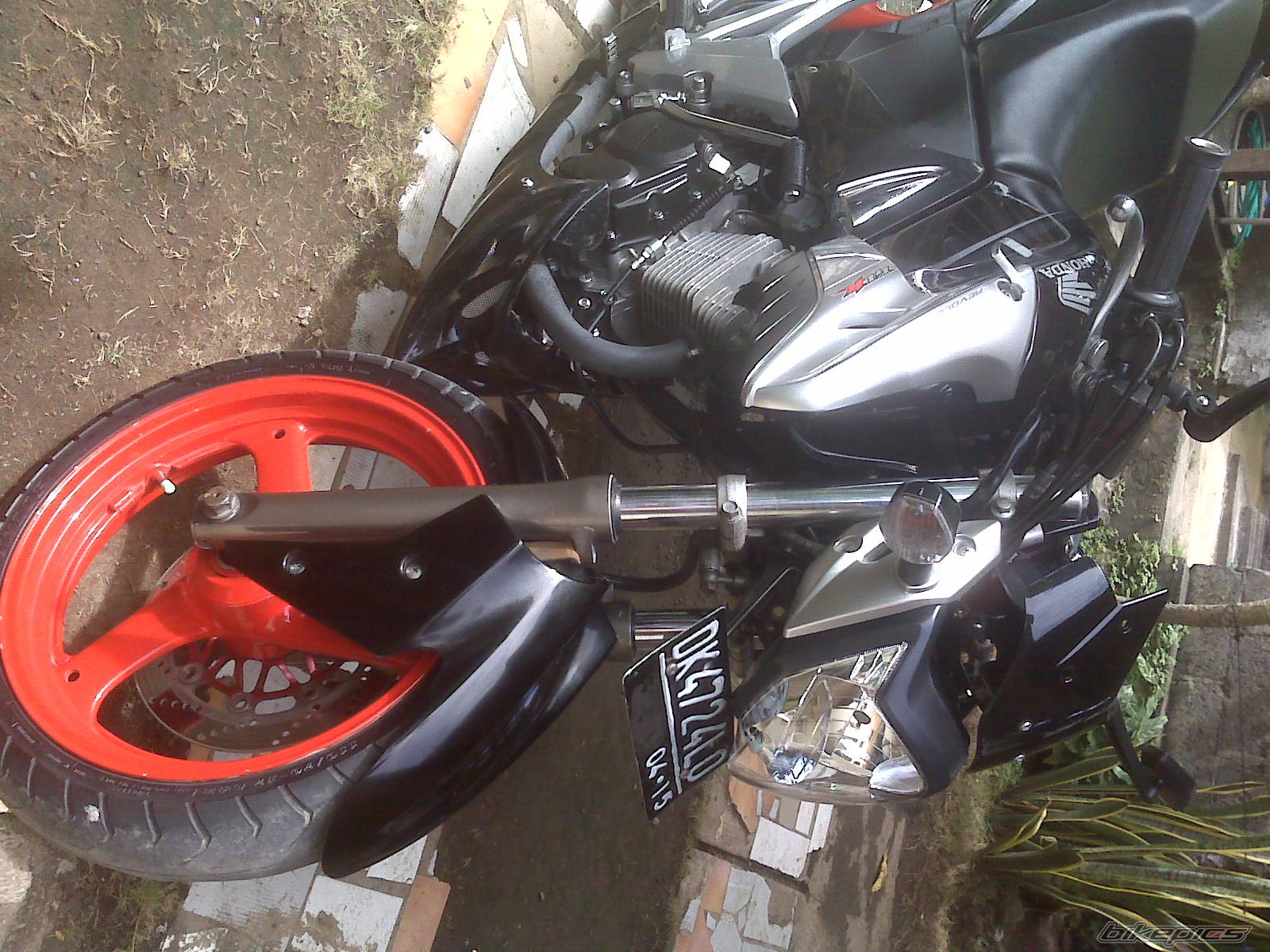 Photo 1985303