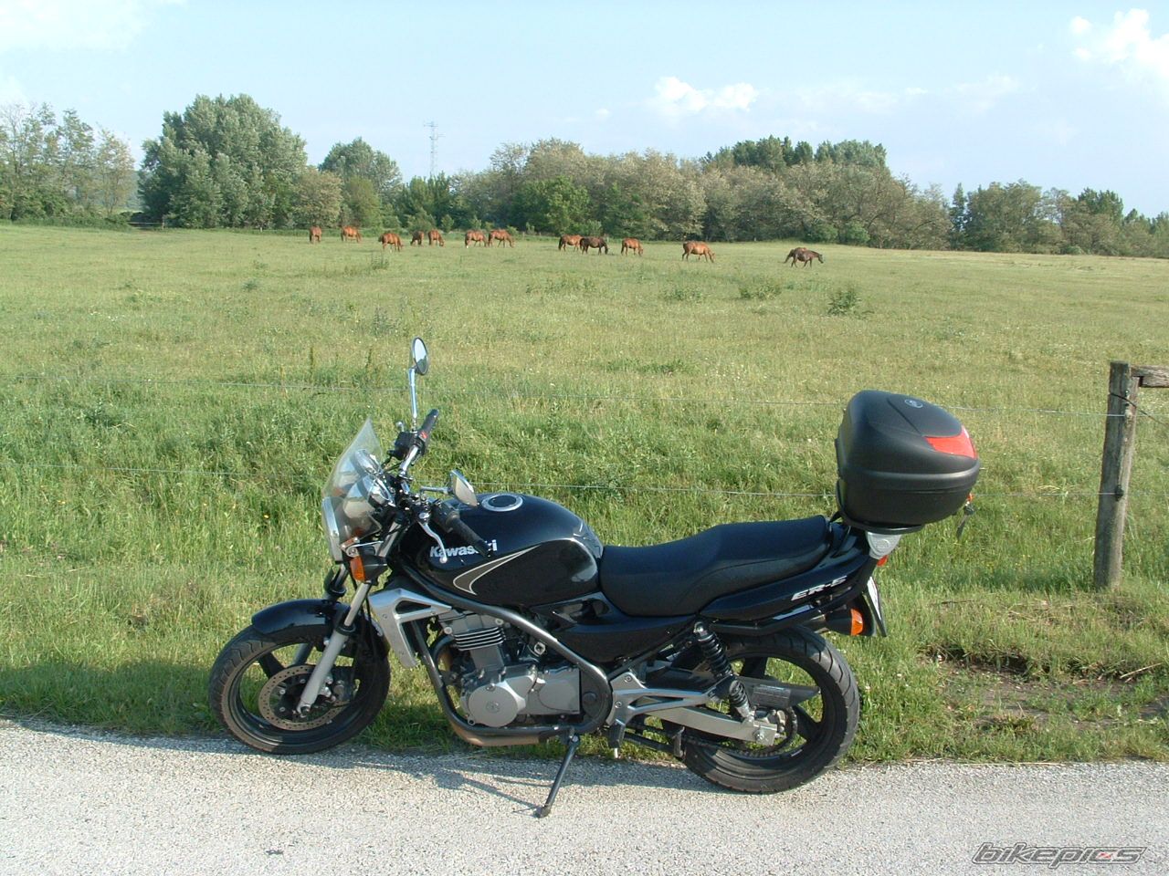 Photo 1985336