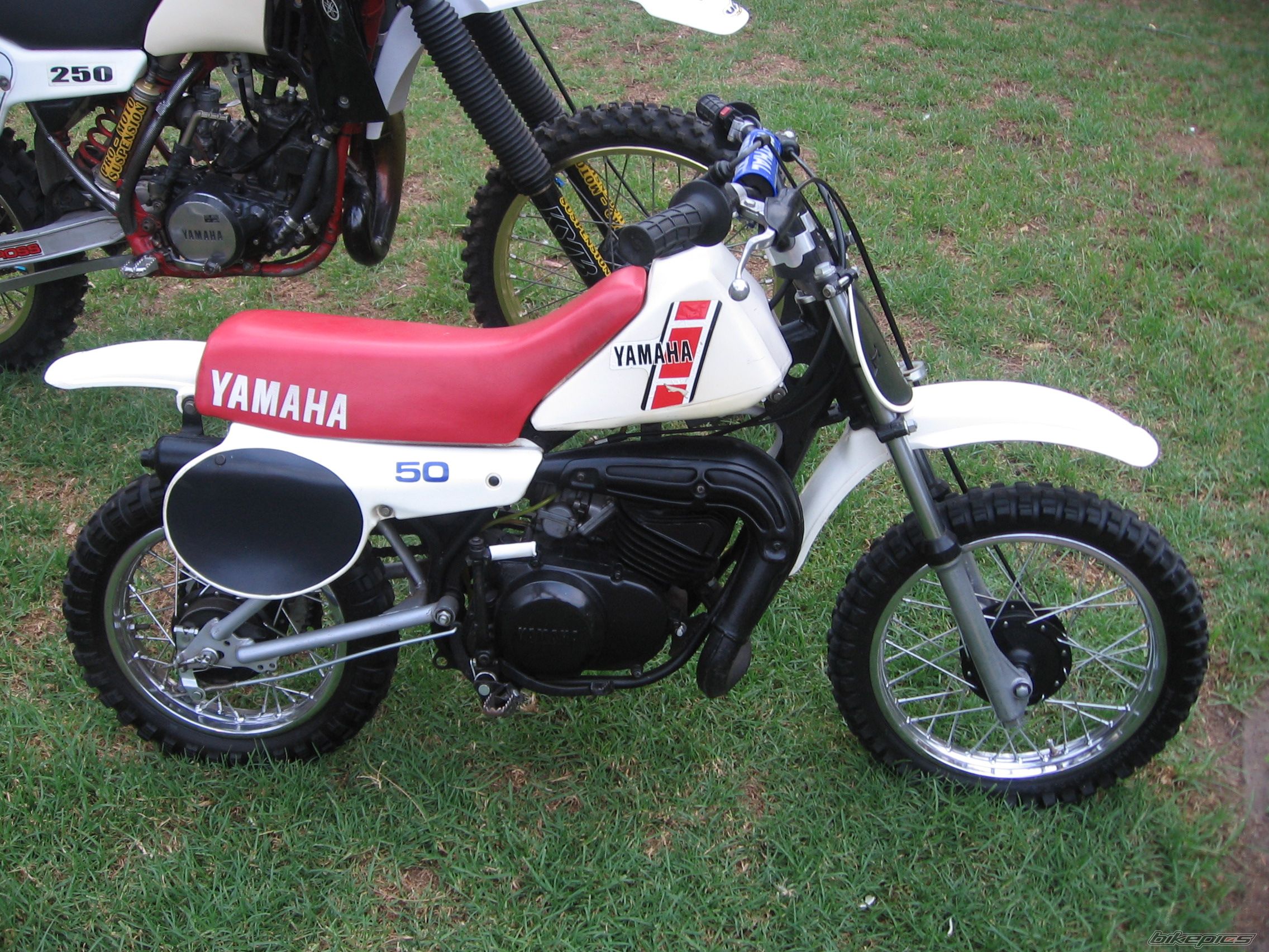 Photo 1985404