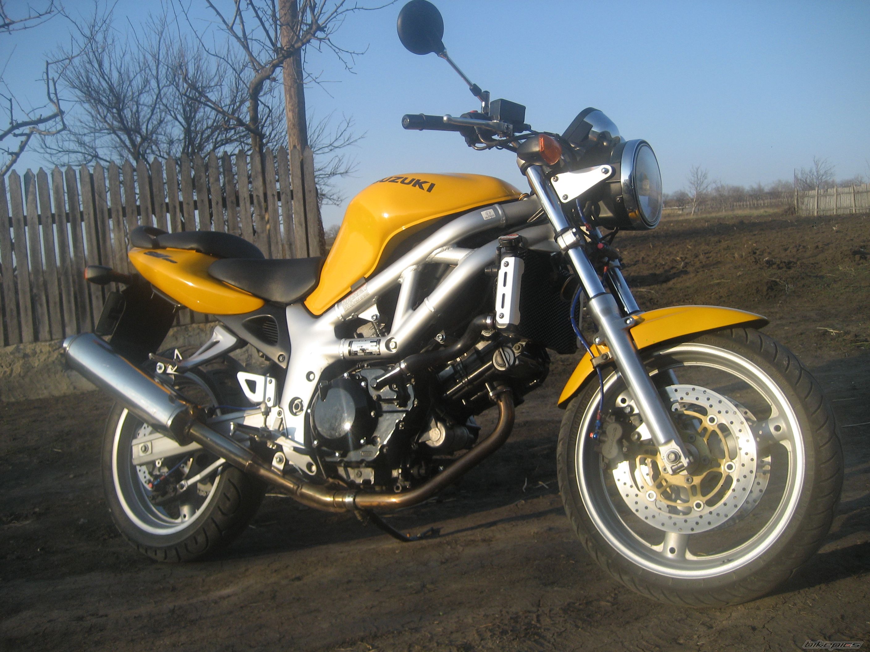Photo 1985405