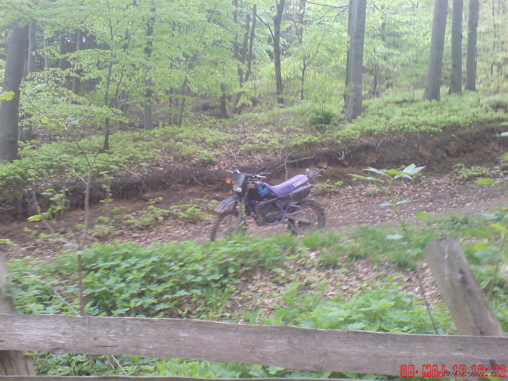 Photo 1985486