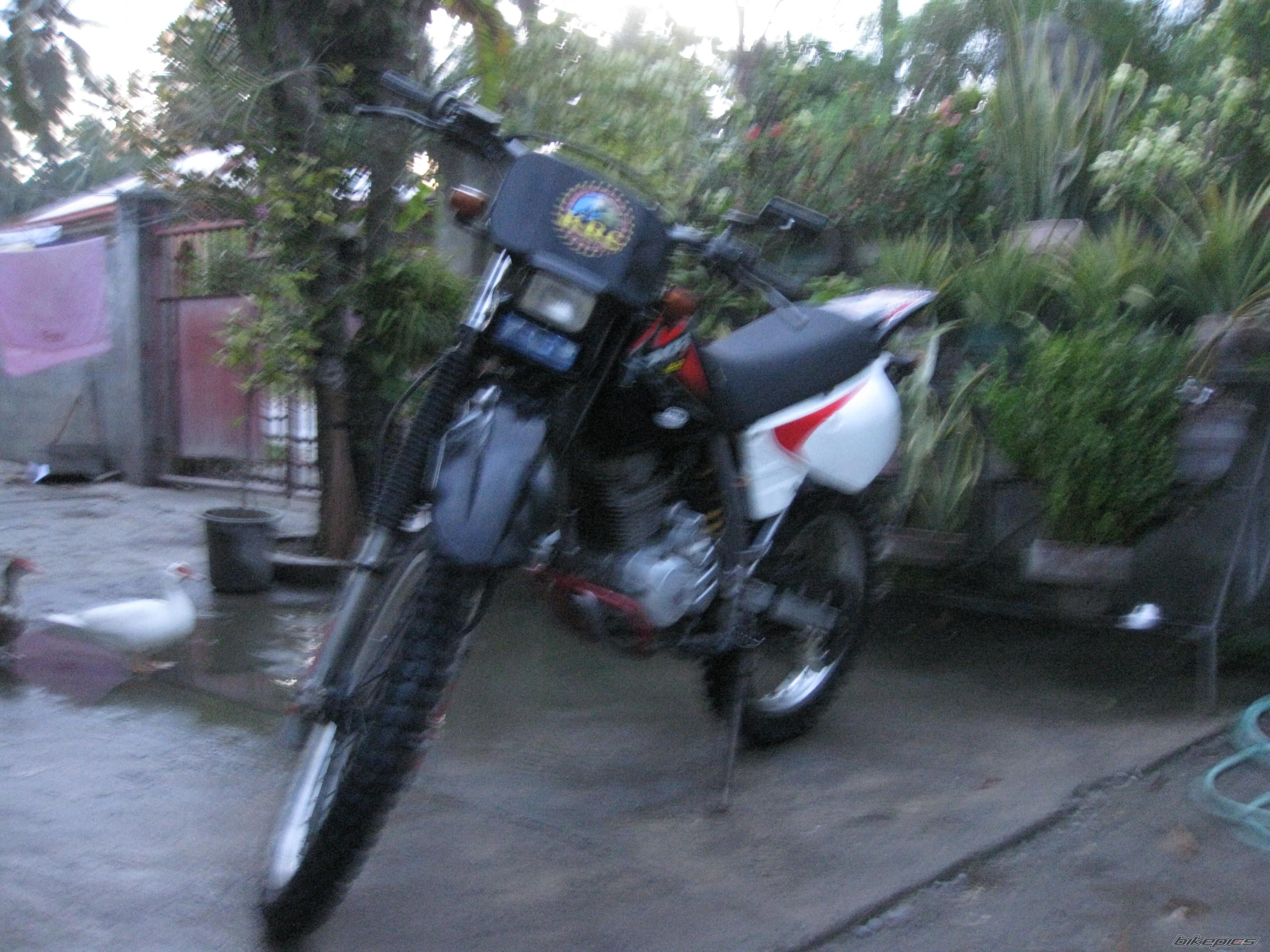 Photo 1985534