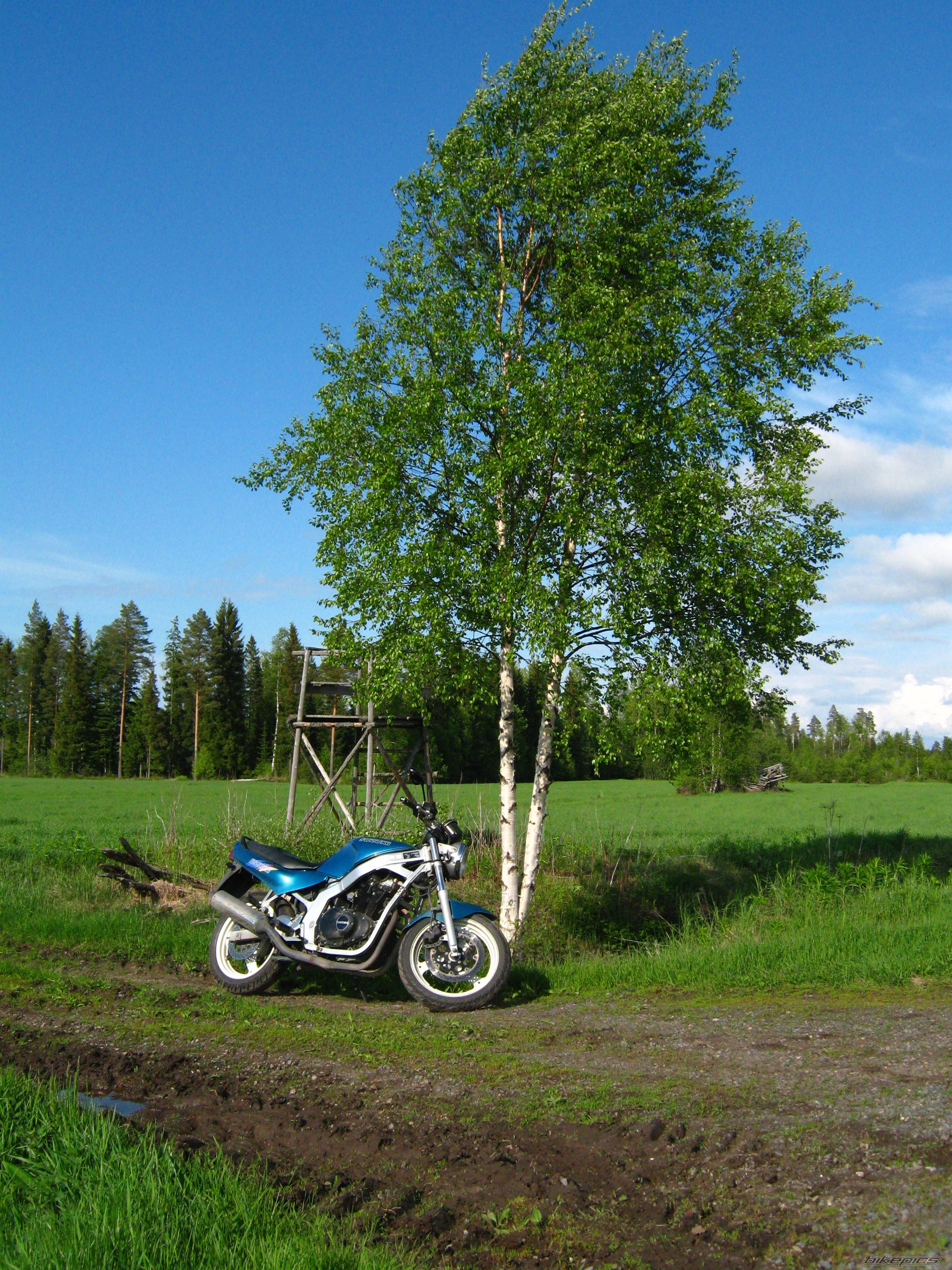 Photo 1985576