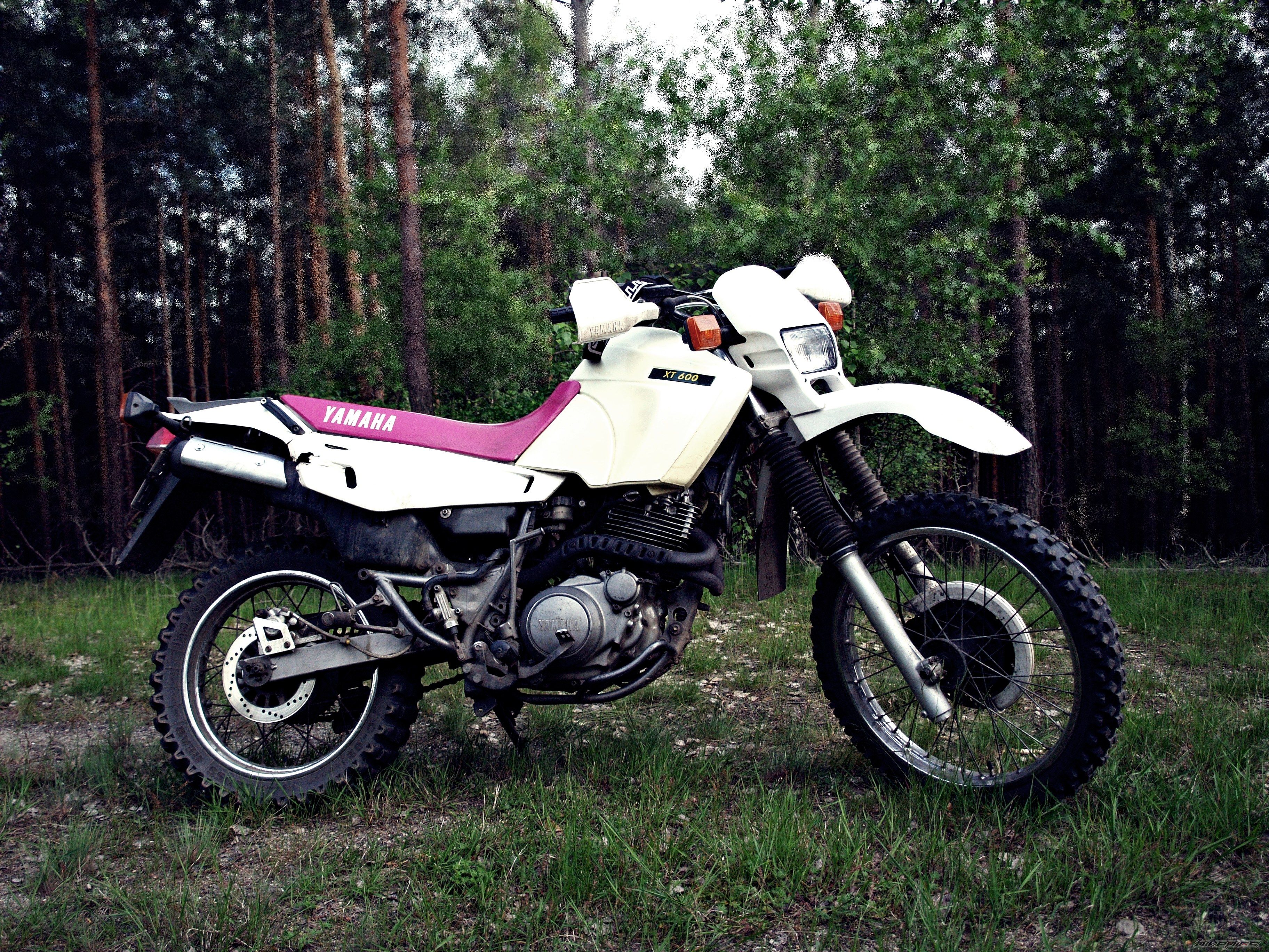 Photo 1985617