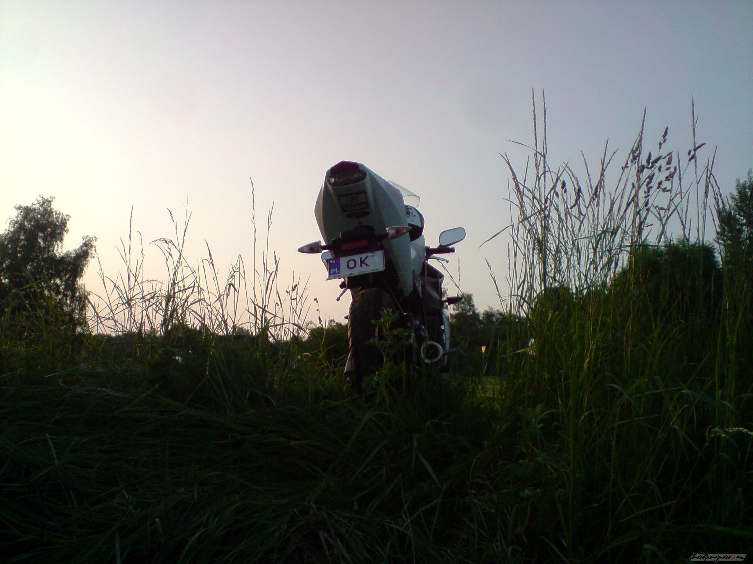 Photo 1985739