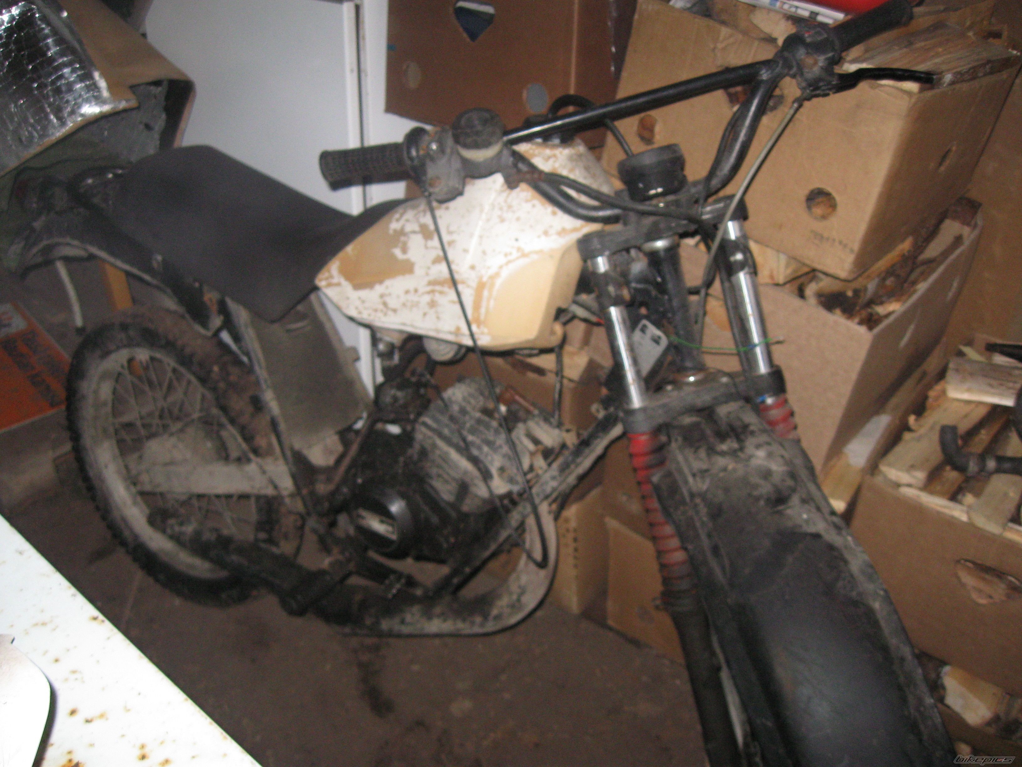 Photo 1985999