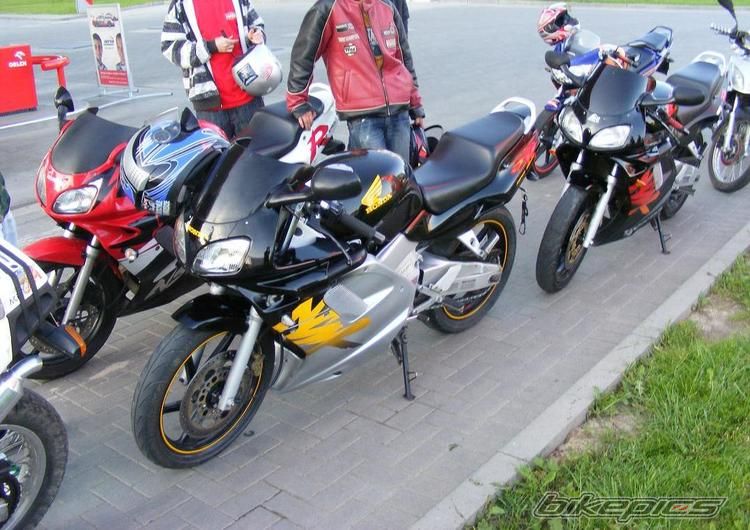 Photo 1986046