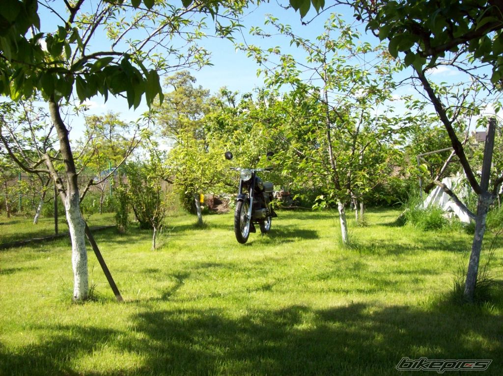 Photo 1986285