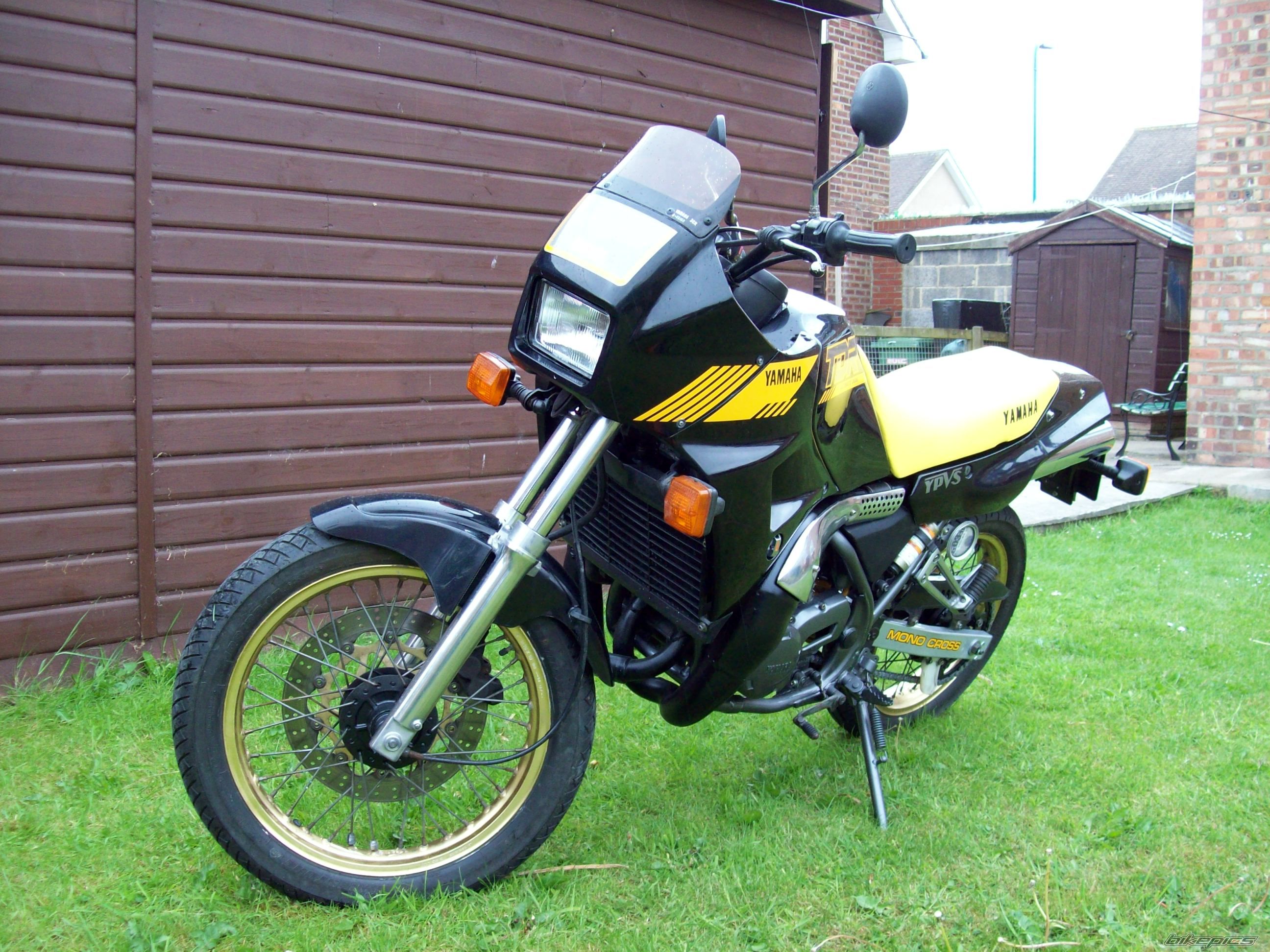 Photo 1986307